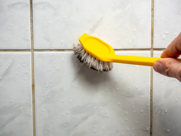 Best Mold Removal Specialists  in Hood River, OR