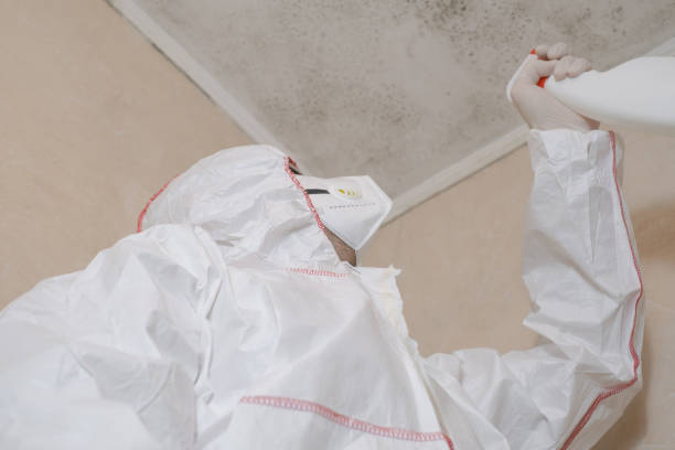 Best Fast Mold Removal  in Hood River, OR