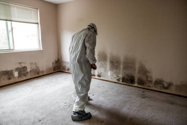 Best Residential Mold Removal  in Hood River, OR
