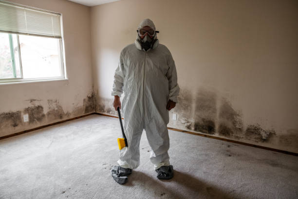 Best Affordable Mold Removal  in Hood River, OR